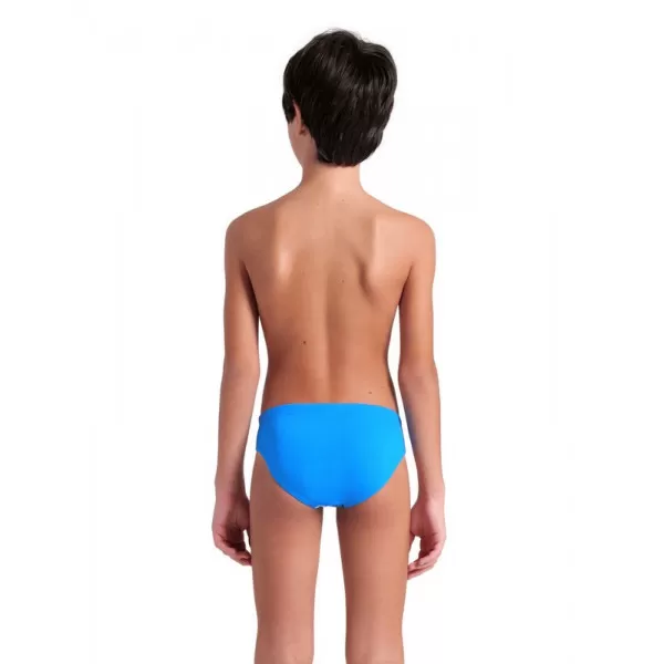 BOYS ARENA LOGO GRAPHIC SWIM BRIEFS BLUE RIVER-WATER MULTI 