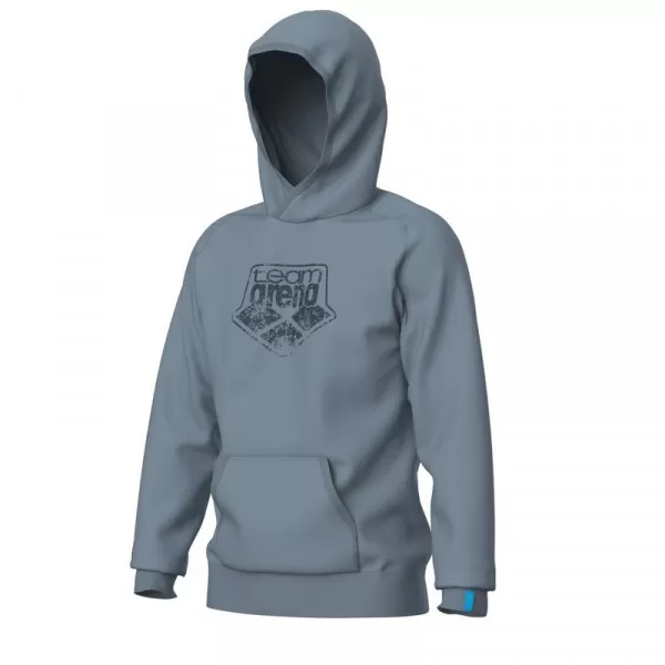 ARENA HOODED SWEAT LOGO 