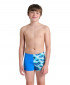 BOYS ARENA LOGO GRAPHIC SWIM SHORT BLUE RIVER-WATER MULTI 